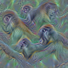 n02492660 howler monkey, howler